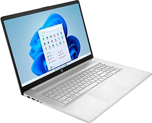 HP 17.3" Flagship Laptop