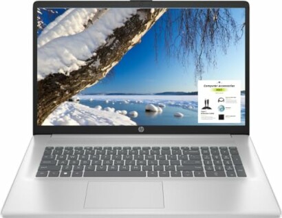 HP 17.3" FHD Business Laptop